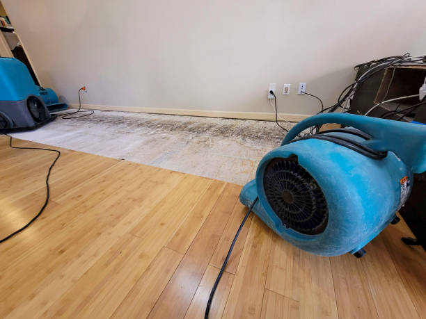 Professional Sewage Cleanup technician working in Hayesville, OR
